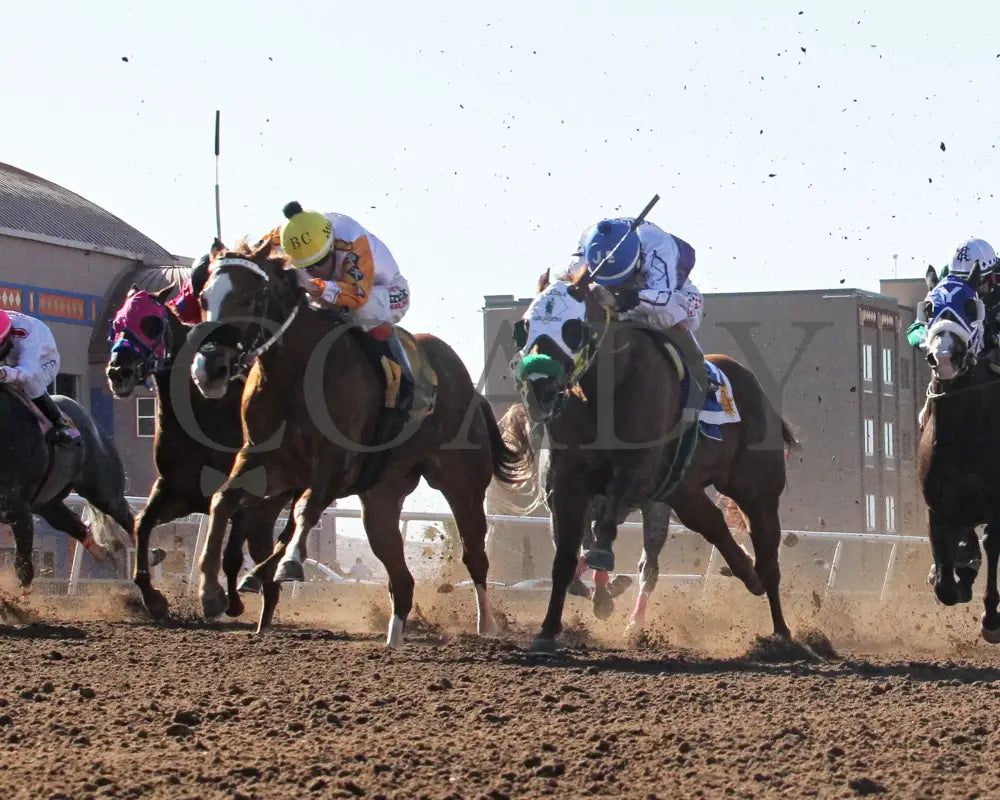 EASILY BELLA CSJ - Sunburst Stakes-14th Running G3 - 03-02-25 - R08 - Sunland Park - Under Rail4 Sunland Park