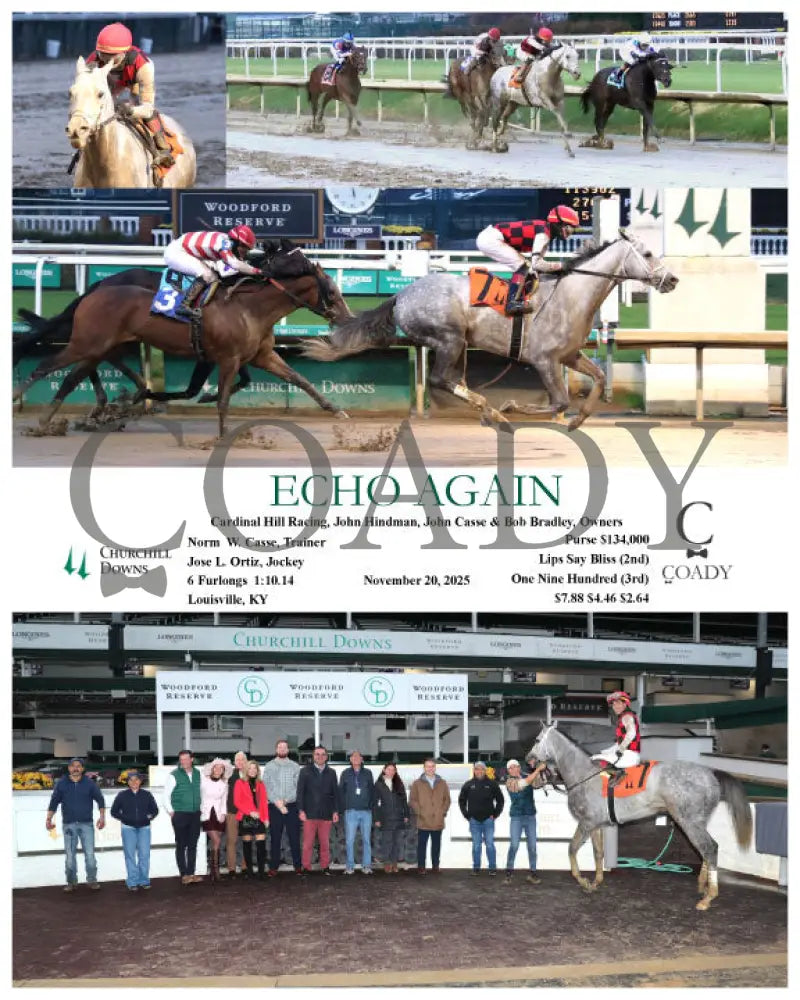 ECHO AGAIN - 11-20-25 - R09 - CD Churchill Downs