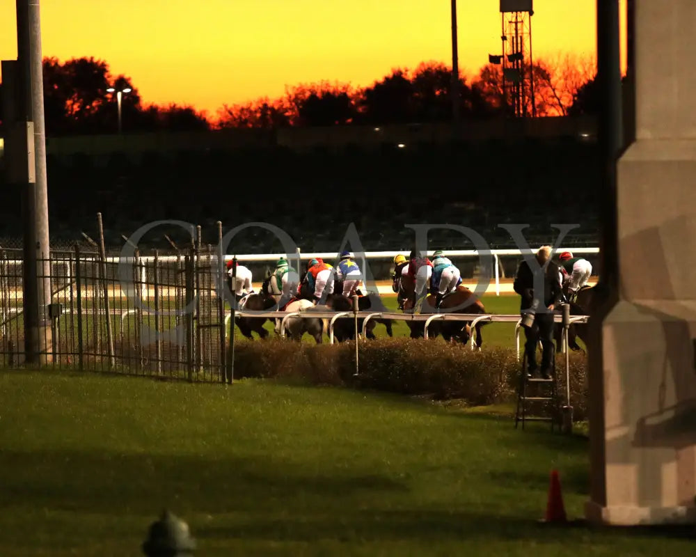 Echo Lane - 111624 Race 11 Cd Sunset 01 Churchill Downs