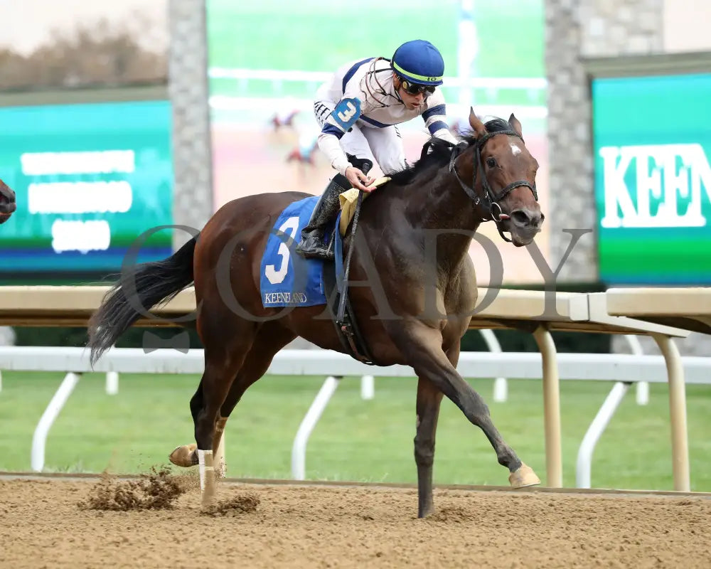 Echo Sound - 10-25-24 R08 Keeneland Race Course Finish 02
