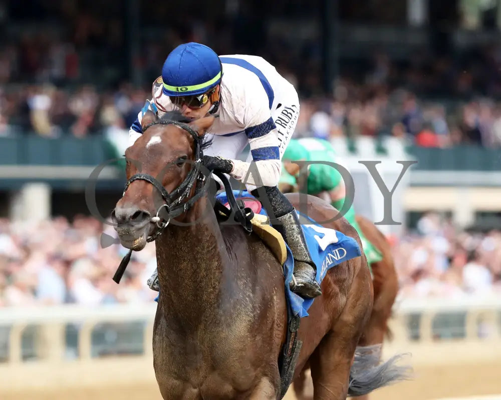 Echo Sound - 10-25-24 R08 Keeneland Race Course Inside Finish 01