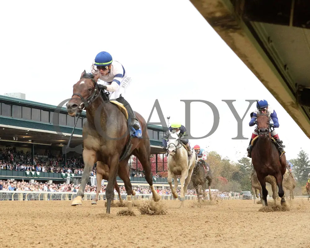 Echo Sound - 10-25-24 R08 Keeneland Race Course Under Rail Finish 01