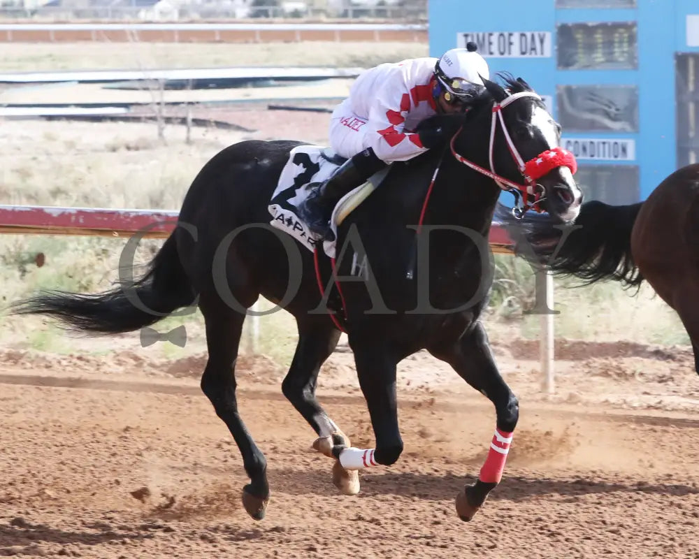 El Vital - New Mexico Classic 870 Stakes 12-15-24 R01 Zia Park Finish 2