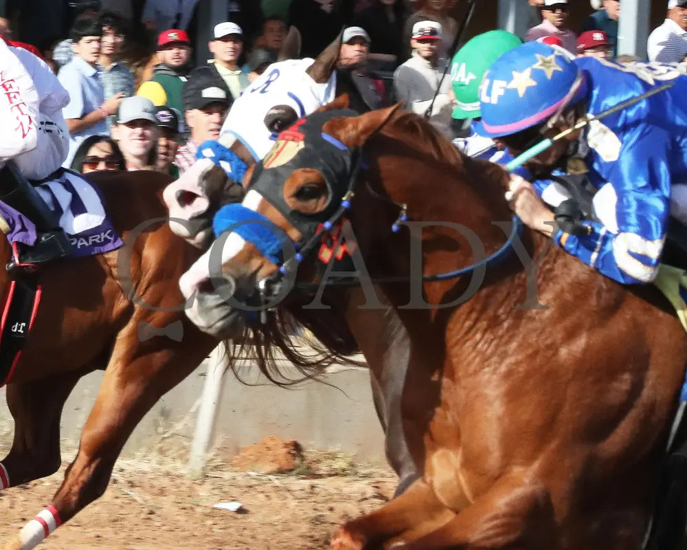Electrifying Cowboy - Southwest Juvenile Invitational Stakes 12-15-24 R08 Zia Park Inside Finish