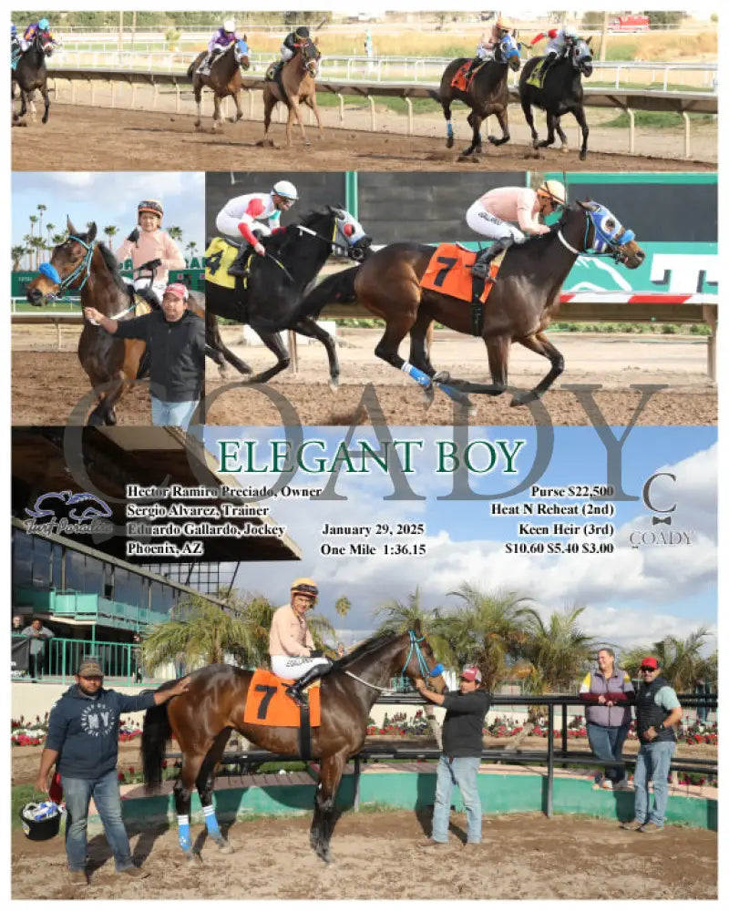 Elegant Boy - 01-29-25 R07 Tup Turf Paradise