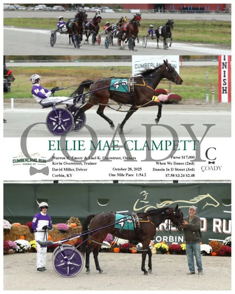 ELLIE MAE CLAMPETT - 102825 - Race 10 - CMR Presque Isle Downs