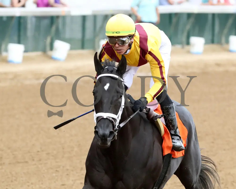 Emery - The Leslie’s Lady Overnight Stakes 3Rd Running 06-09-24 R04 Cd Inside Finish 02 Churchill