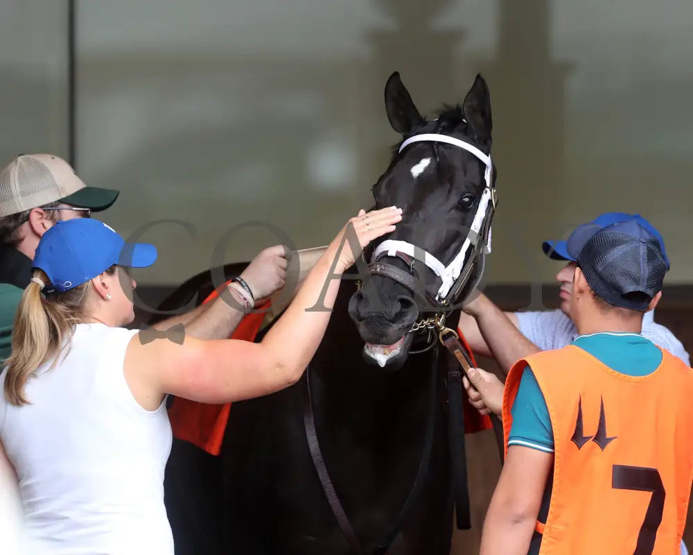 Emery - The Leslie’s Lady Overnight Stakes 3Rd Running 06-09-24 R04 Cd Paddock 03 Churchill Downs
