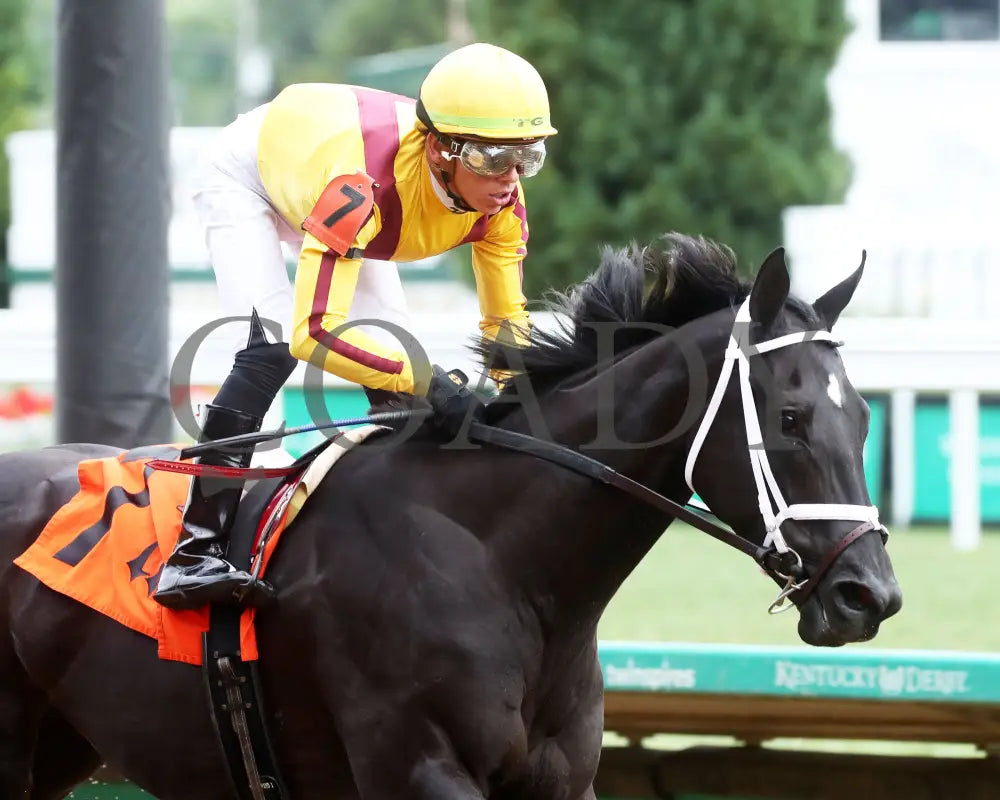 Emery - The Leslie’s Lady Overnight Stakes 3Rd Running 06-09-24 R04 Cd Tight Finish 01 Churchill