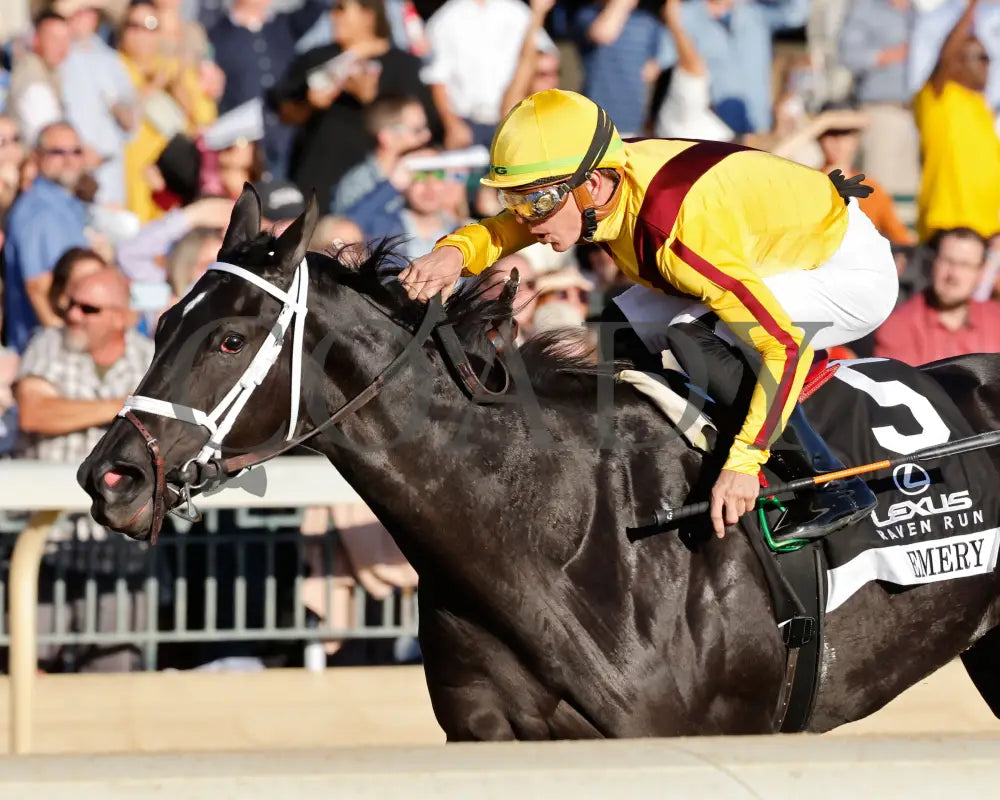 Emery - The Lexus Raven Run G2 10-19-244 R09 Keeneland Race Course -Inside Finish 01
