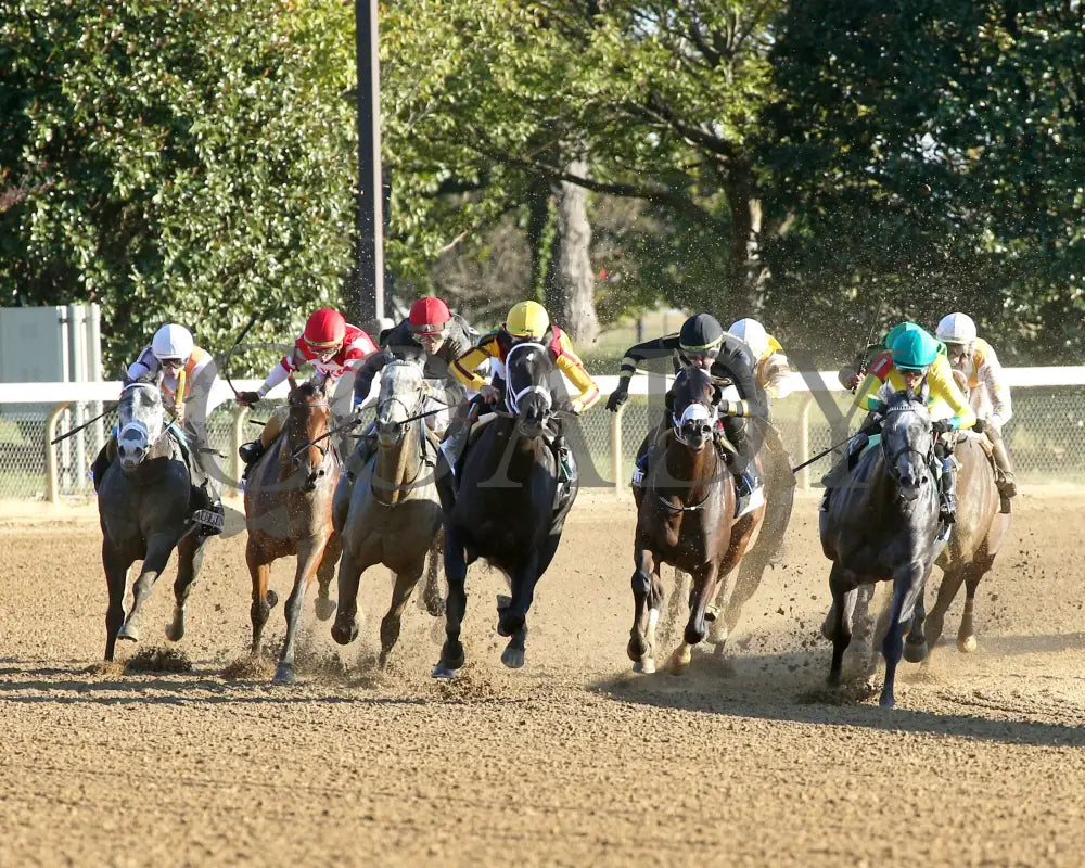 Emery - The Lexus Raven Run G2 10-19-244 R09 Keeneland Race Course Turn 01