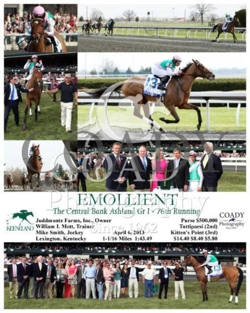 Emollient - 040613 Race 09 Kee Keeneland