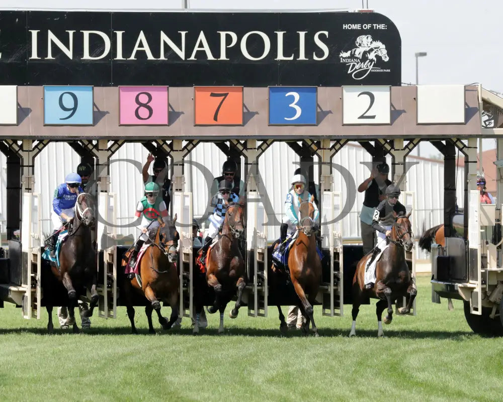 ENCINO - Jonathan B. Schuster Memorial - 16th Running - 07-05-25 - R08 - IND - Start 01 Indiana Grand