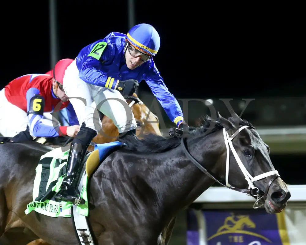 Encino - The John Battaglia 42Nd Running 03-02-24 R06 Tp Celebration 01 Turfway Park