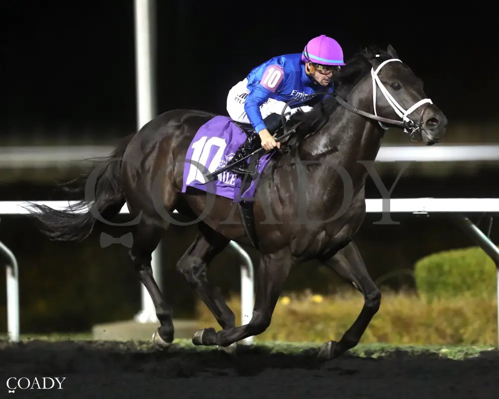 ENCINO - The Presque Isle Mile - 09-19-25 - R08 - PID - Finish 02 - Coady Media - Kurtis Coady Photography