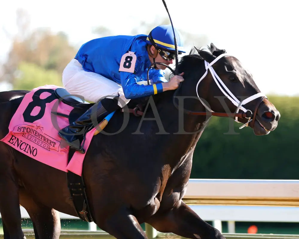 Encino - The Stonestreet Lexington G3 42Nd Running 04 - 13 - 24 Race 10 Kee Tight Finish 01