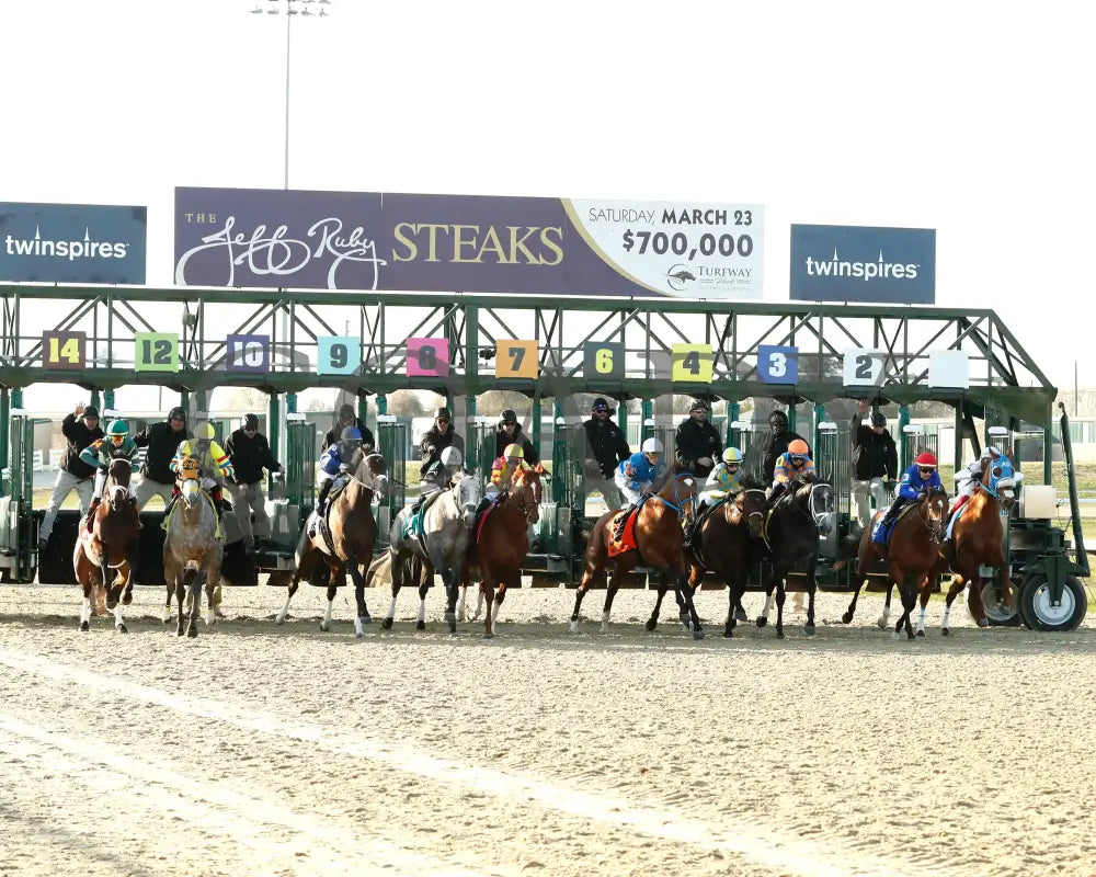 Endlessly - Jeff Ruby Steaks G3 53Rd Running 03 - 23 - 24 R12 Tp Start 01 Turfway Park