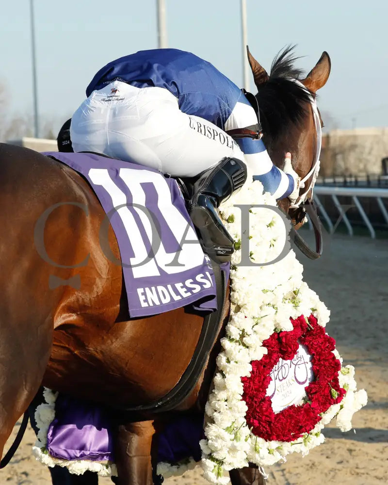Endlessly - Jeff Ruby Steaks G3 53Rd Running 03 - 23 - 24 R12 Turfway Park Celebration 02 Kurtis