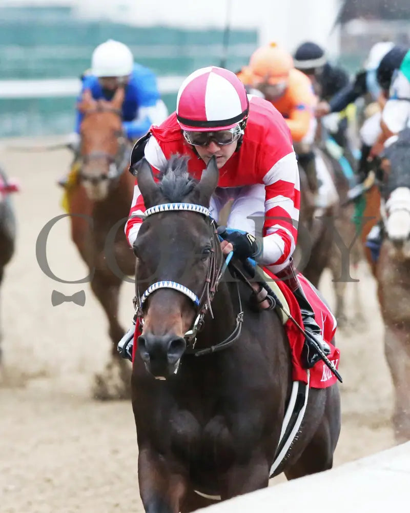 Envoutante - Falls City G2 105Th Running 11-26-20 R10 Cd Inside Finish 01 Churchill Downs