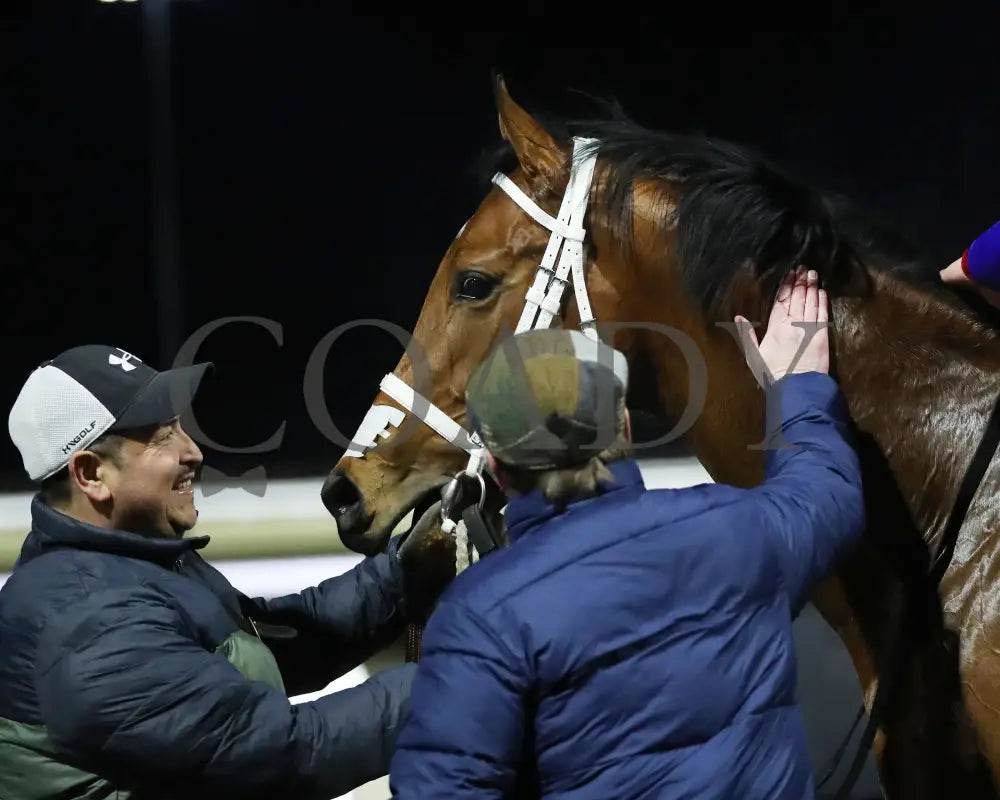 Epic Ride - The Leonatus Stakes 34Th Running 02-02-24 R06 Tp Come Back 03 Turfway Park
