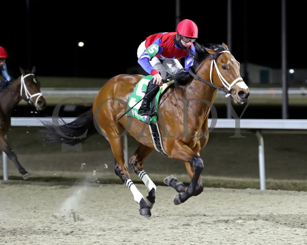 Epic Ride - The Leonatus Stakes 34Th Running 02-02-24 R06 Tp Finish 02 Turfway Park