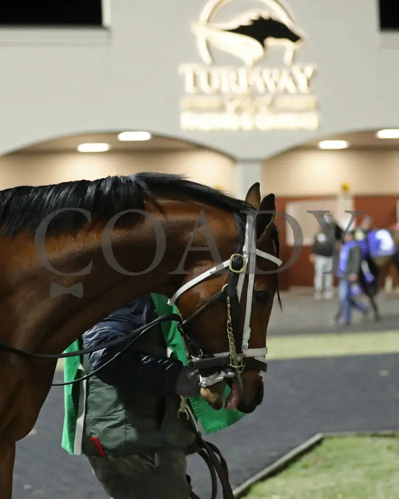 Epic Ride - The Leonatus Stakes 34Th Running 02-02-24 R06 Tp Paddock 02 Turfway Park