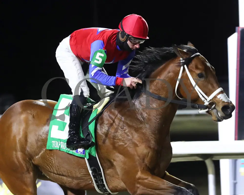 Epic Ride - The Leonatus Stakes 34Th Running 02-02-24 R06 Tp Tight Finish 01 Turfway Park