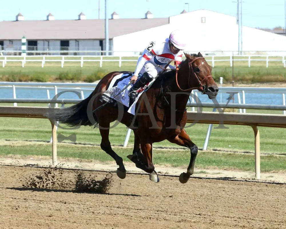 E’s Magic - Gary Patrick Overnight Handicap 10-26-24 R02 Horseshoe Indiana Finish 02 Sammantha