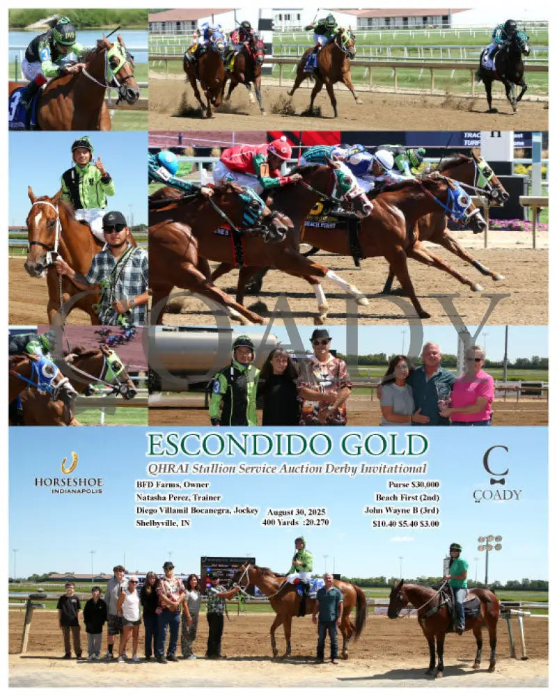 ESCONDIDO GOLD QHRAI Stallion Service Auction Derby Invitational 08 30 25 R06 IND Indiana Grand