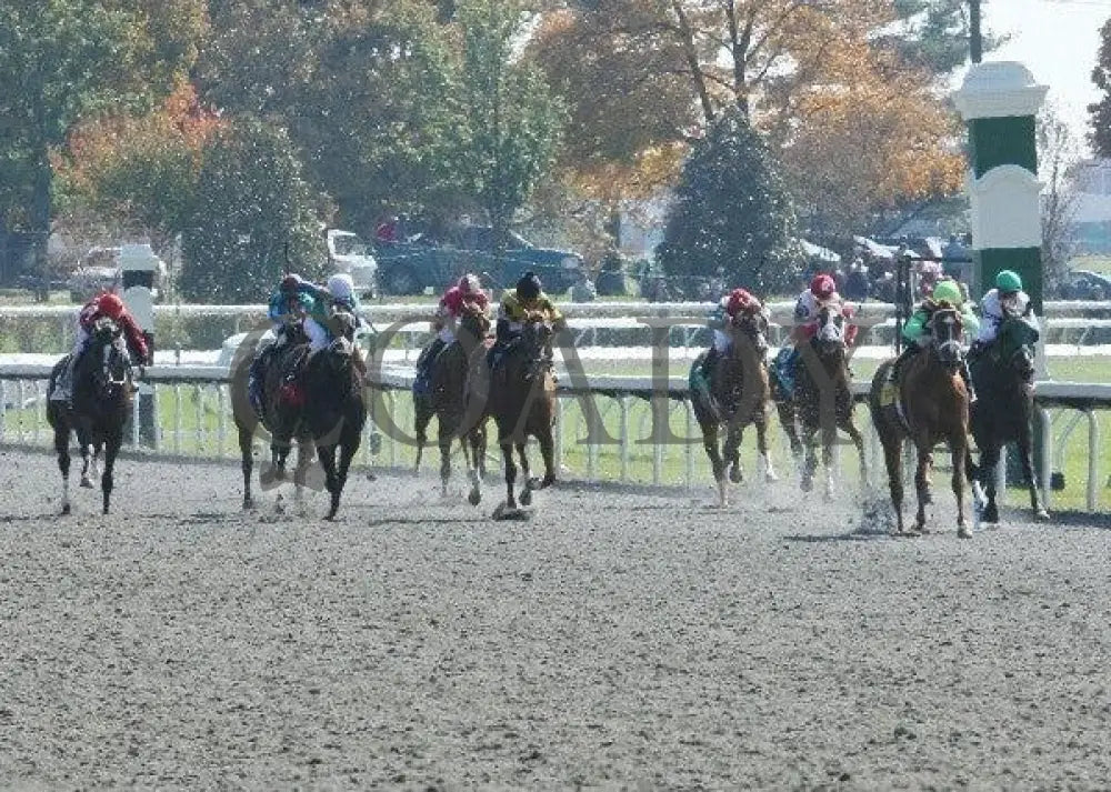 Euronfire - 3 102911 Race 01 Keeneland