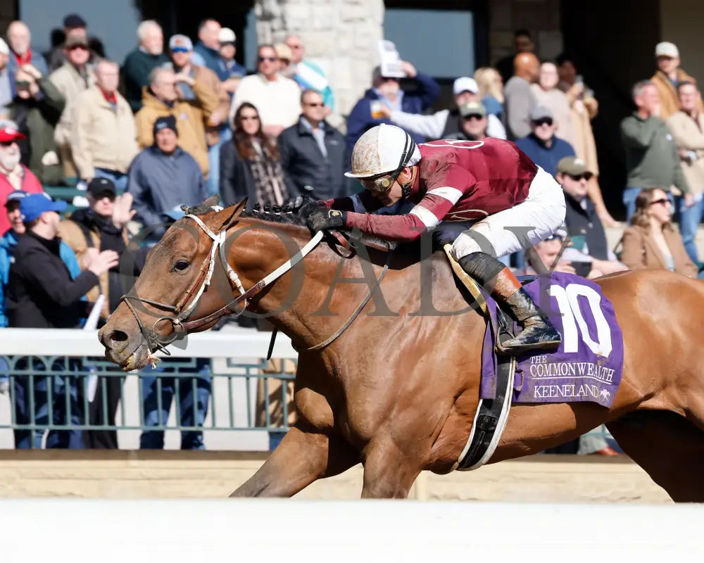 EXTRA ANEJO - The Commonwealth G3 - 04-08-25 - R07 - KEE - Inside Finish 03 Keeneland
