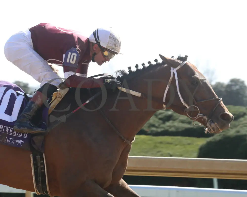 EXTRA ANEJO - The Commonwealth G3 - 04-08-25 - R07 - KEE - Tight Finish 01 Keeneland