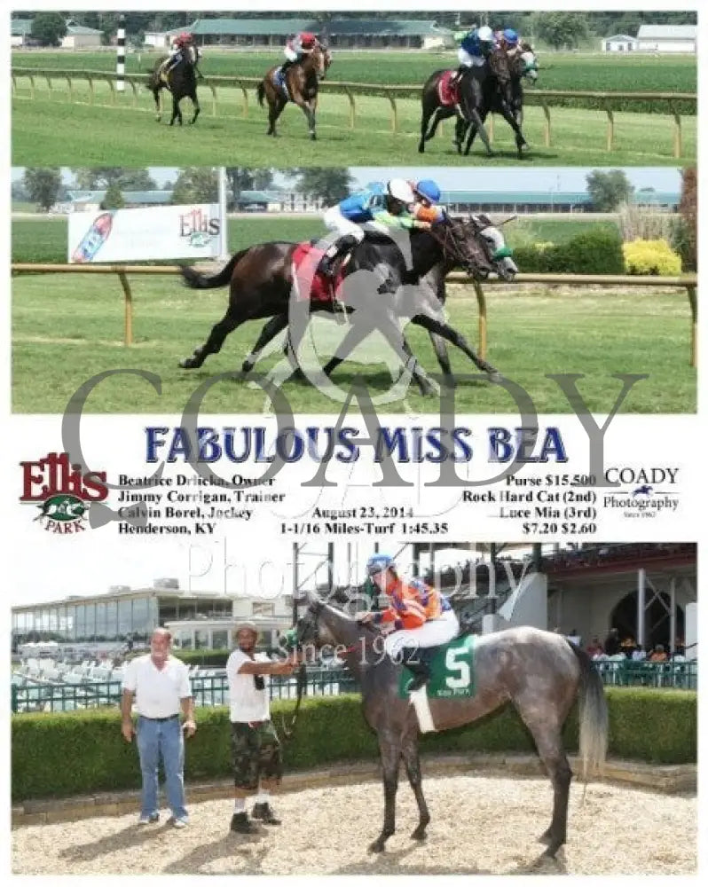 Fabulous Miss Bea - 082314 Race 04 Elp Ellis Park