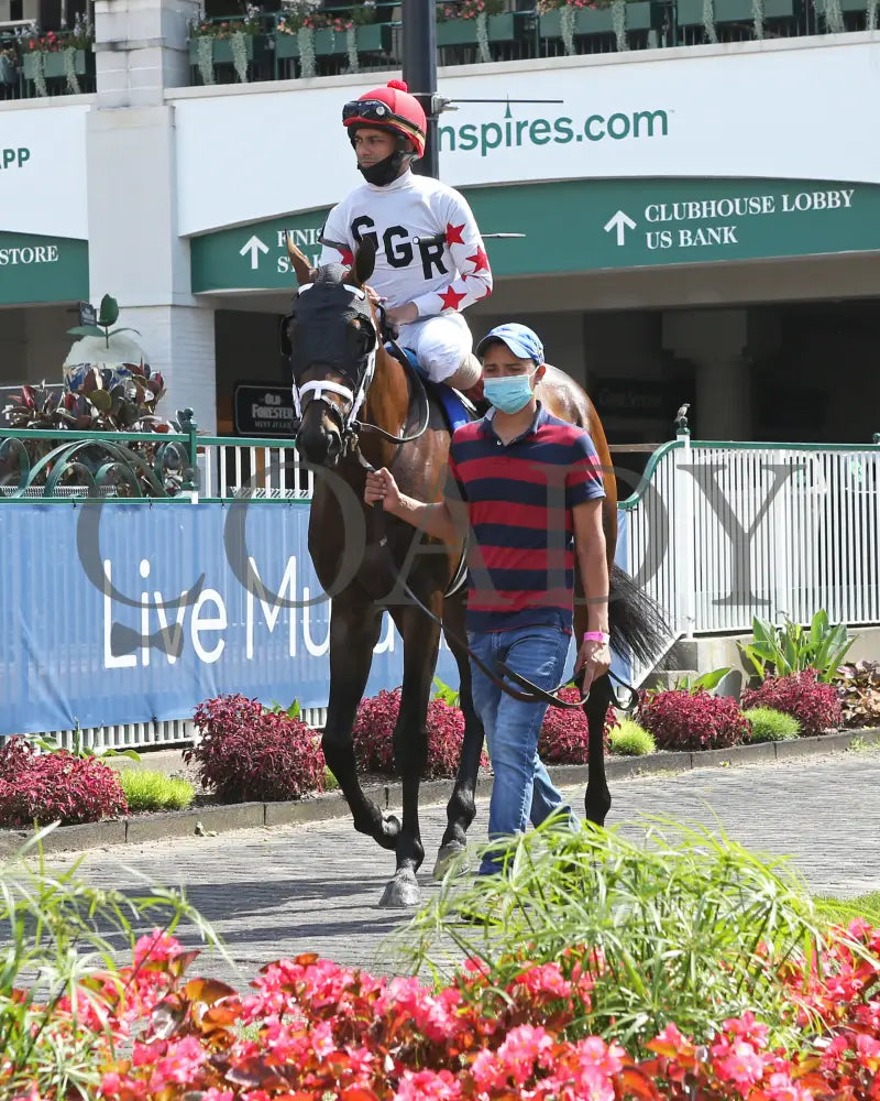 Factor This - The Wise Dan 31St Running 06-20-20 R09 Cd Paddock 04 Churchill Downs
