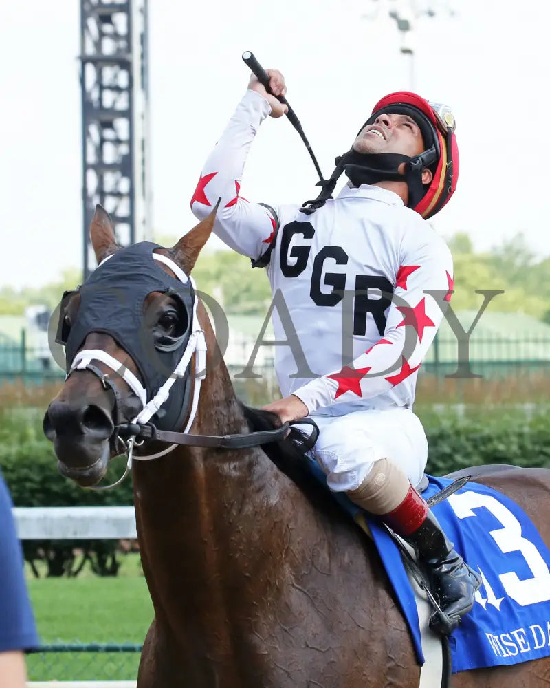 Factor This - The Wise Dan 31St Running 06-20-20 R09 Cd Post Race 01 Churchill Downs