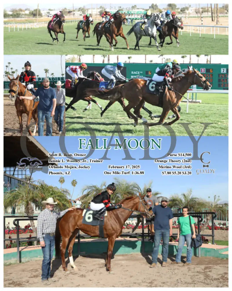 FALL MOON - 02-17-25 - R06 - TUP Turf Paradise