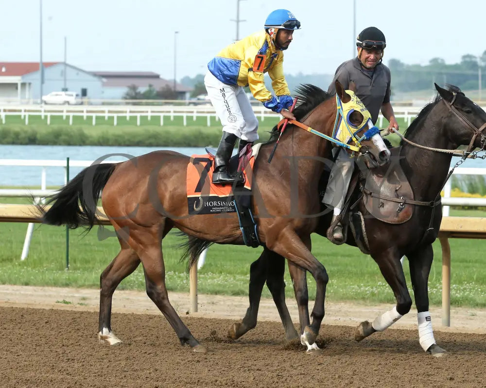 FAMOUS LOLLIPOP - Carter Riley Overnight Stakes - 06-03-25 - R09 - Horseshoe Indiana - Post Parade 01 - Sammantha