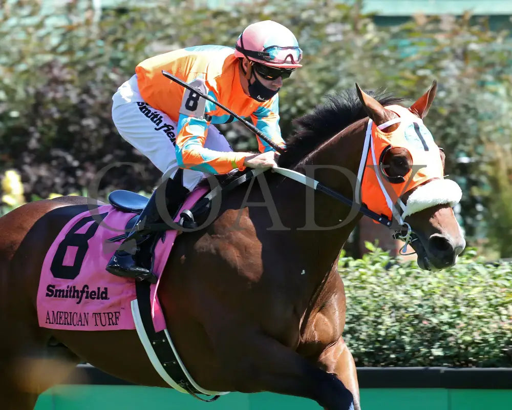 Fancy Liquor - American Turf 29Th Running 09-05-20 R08 Cd Finish 01 Churchill Downs