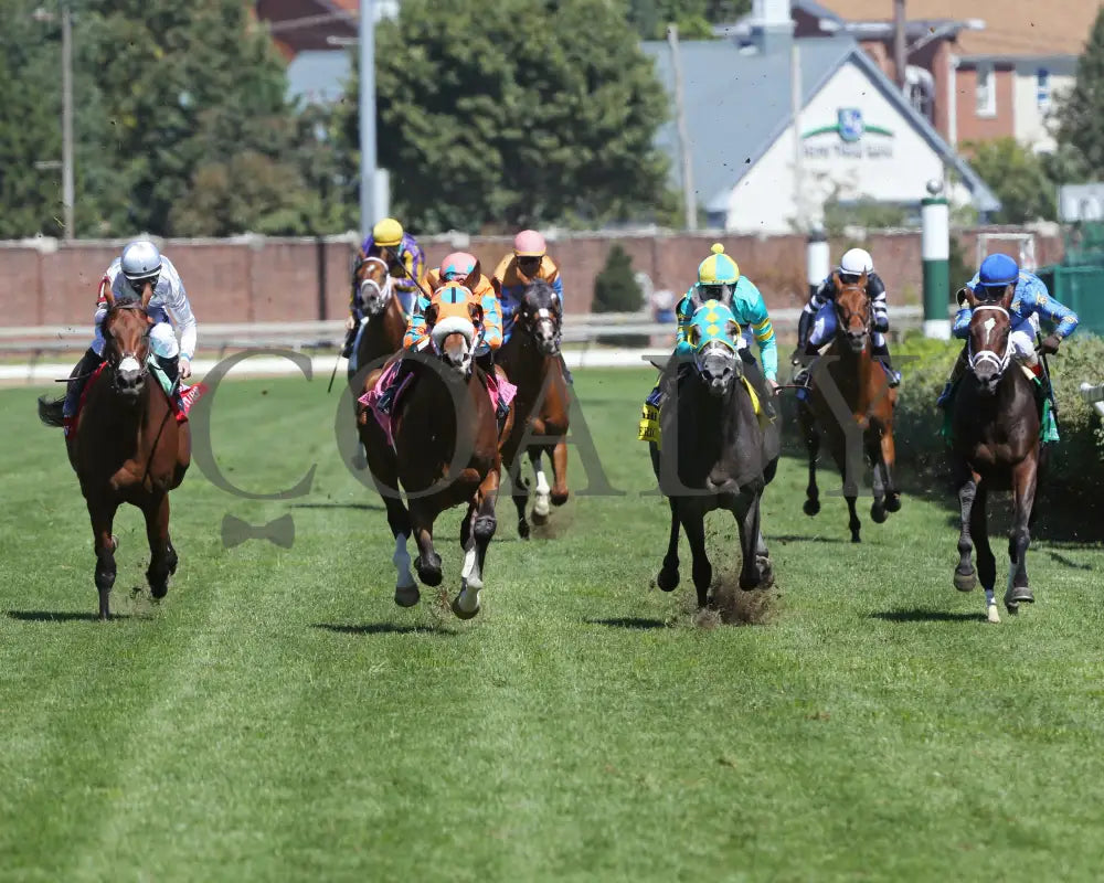 Fancy Liquor - American Turf 29Th Running 09-05-20 R08 Cd Head On 01 Churchill Downs