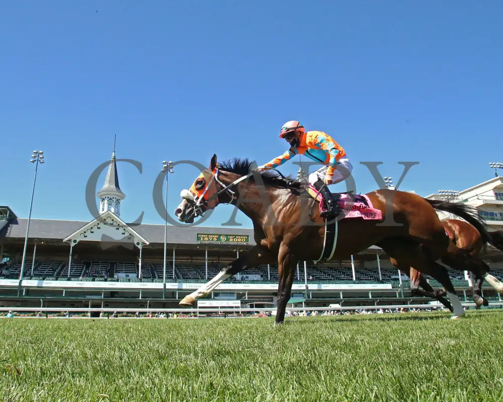 Fancy Liquor - American Turf 29Th Running 09-05-20 R08 Cd Under Rail 01 Churchill Downs