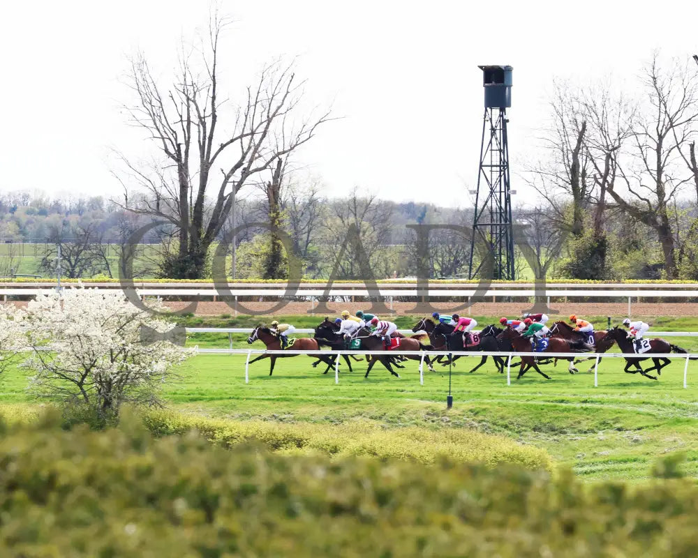 Fandom - The Palisades 04 - 07 - 24 R07 Kee Backstretch 01 Keeneland