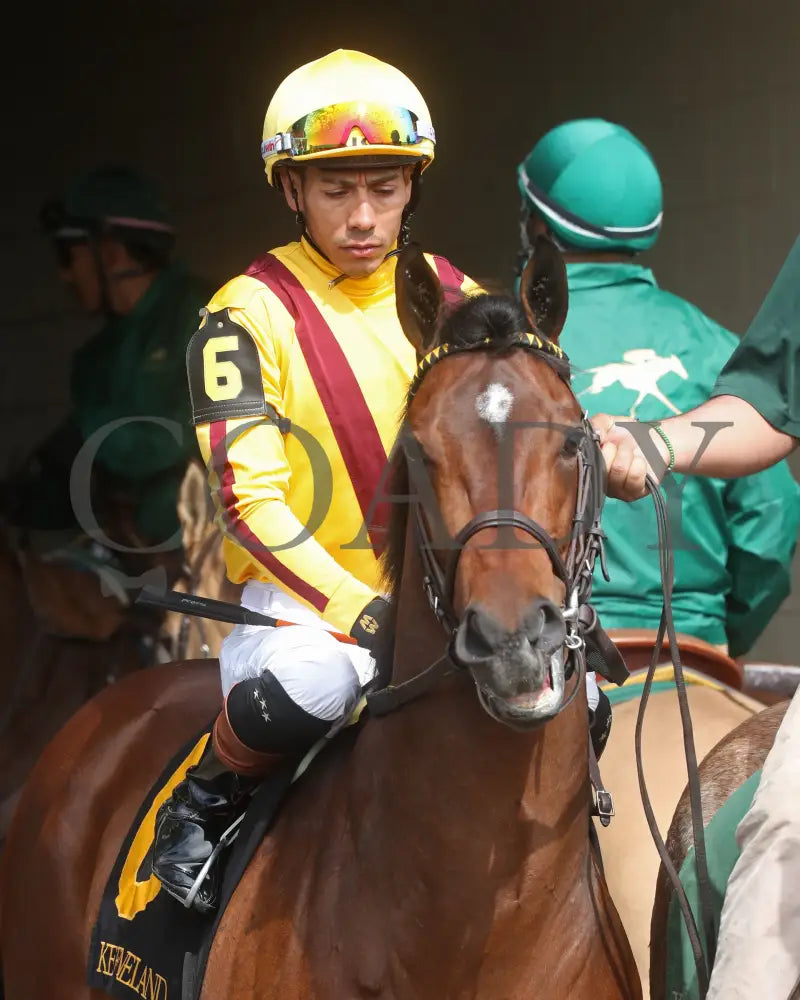 Fandom - The Palisades 04 - 07 - 24 R07 Kee Paddock 01 Keeneland