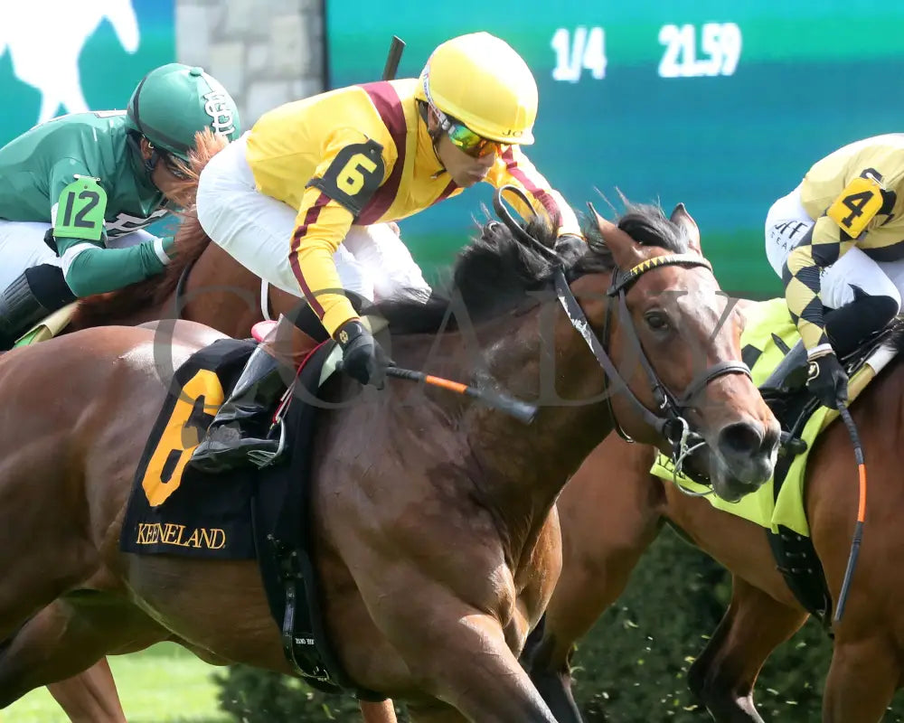 Fandom - The Palisades 04 - 07 - 24 R07 Kee Tight Finish 02 Keeneland