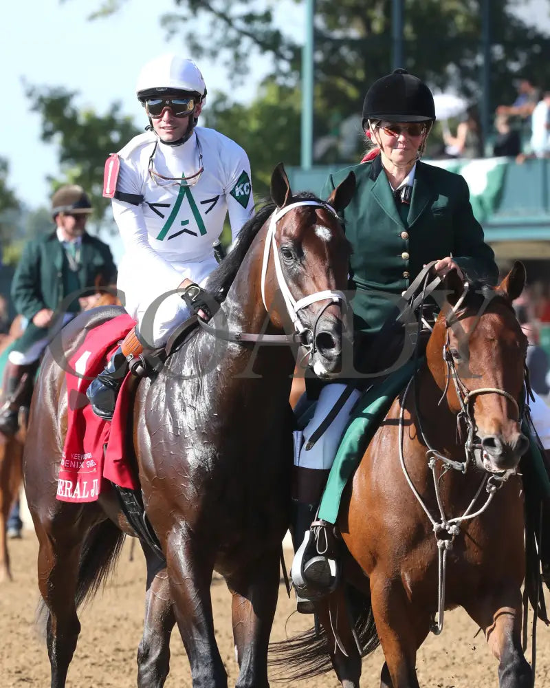 Federal Judge - 100424 Race 07 Kee The Stoll Keenon Ogden Phoenix G2 Come Back 01 Keeneland