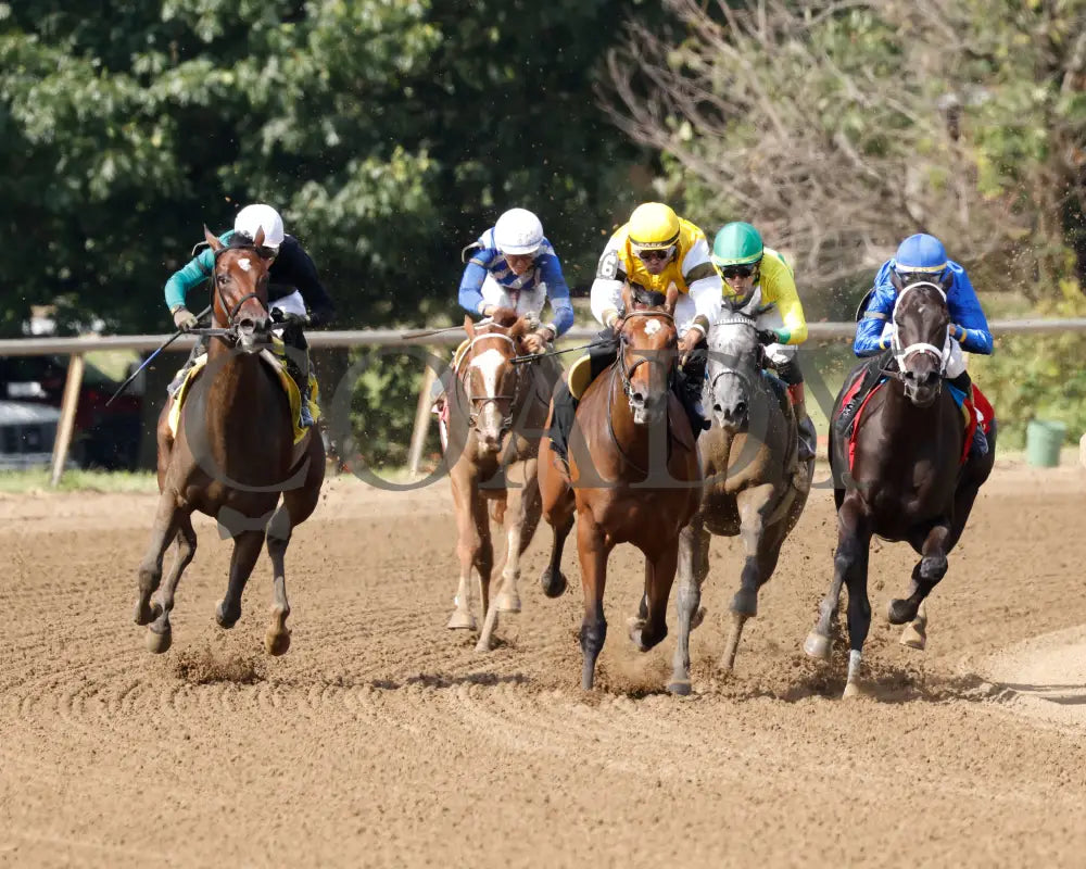 Fibber - The Audubon Oaks 5Th Running 08-11-24 R09 Elp Turn 01 Ellis Park
