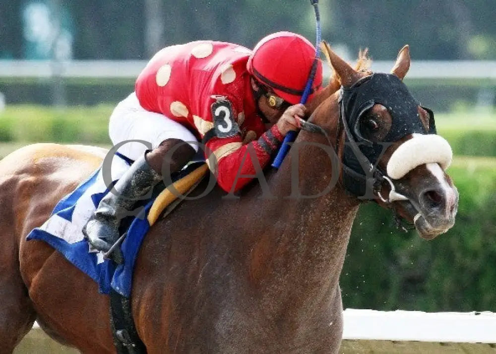 Field Commission - 060912 Race 11 Tight Fin Calder Course