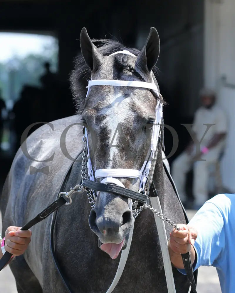 Field Pass - The Audubon 1St Running 06-20-20 R06 Cd Paddock 01 Churchill Downs