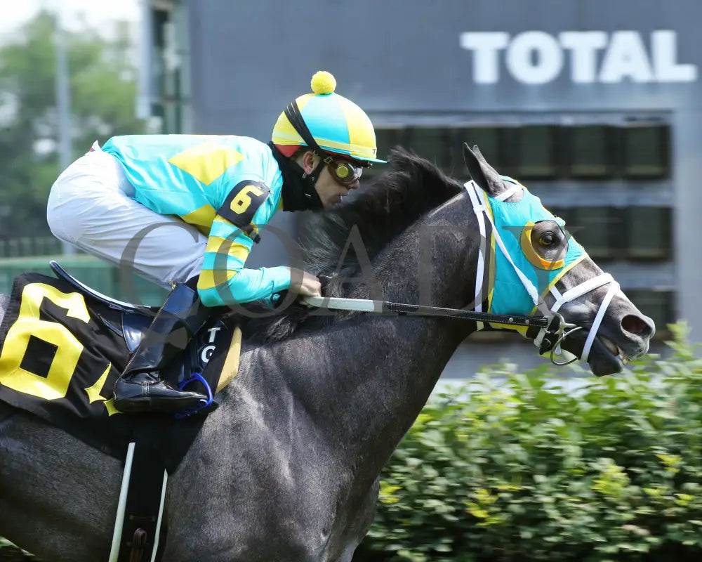 Field Pass - The Audubon 1St Running 06-20-20 R06 Cd Tight Finish 01 Churchill Downs