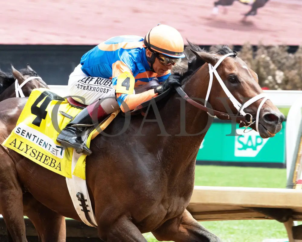 FIERCENESS - 050225 - Race 06 - CD - Inside Finish 02 Churchill Downs