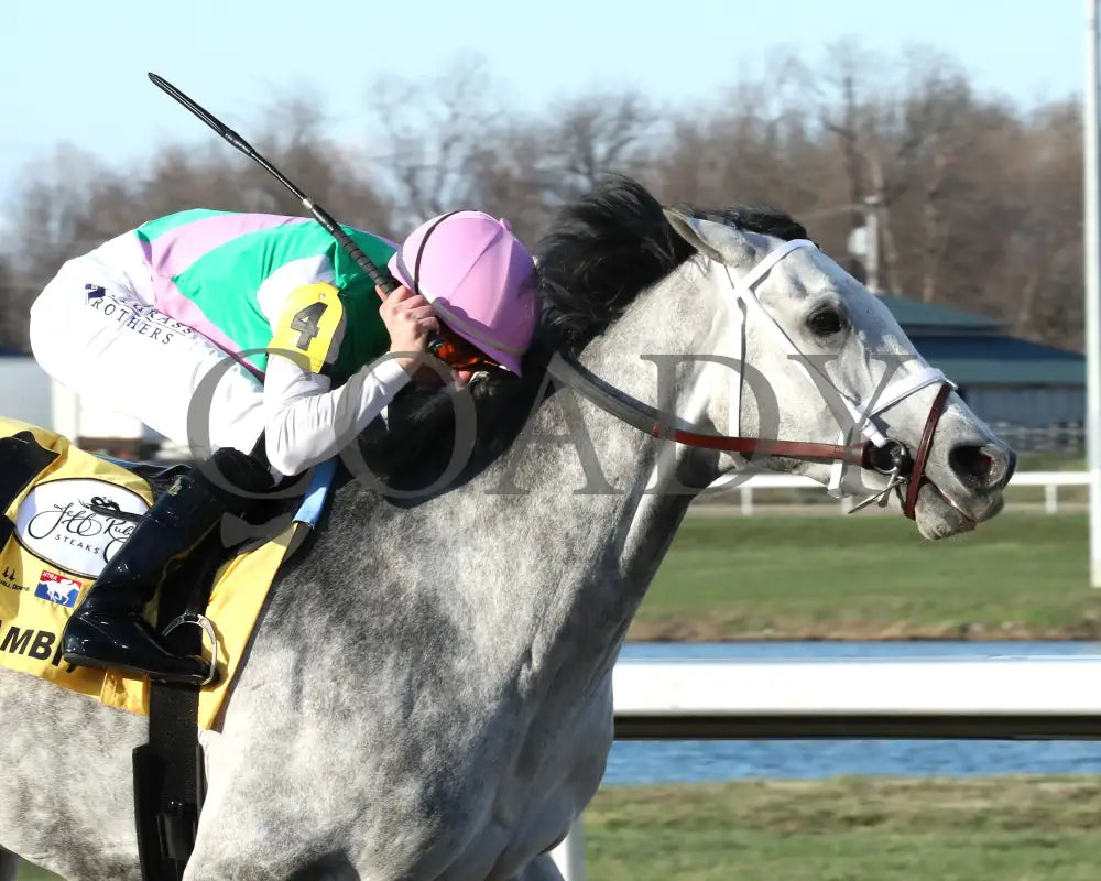 FINAL GAMBIT - Jeff Ruby Steaks - 54th Running - 03-22-25 - R12 - TP - Finish 03 Turfway Park